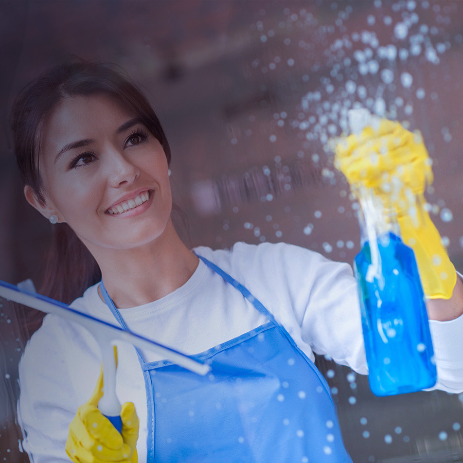 Cleaning Household